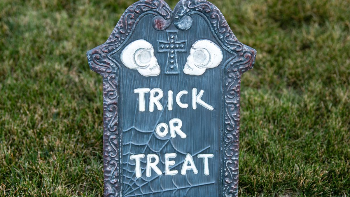 Halloween: 7 rumors to get in the spooky spirit